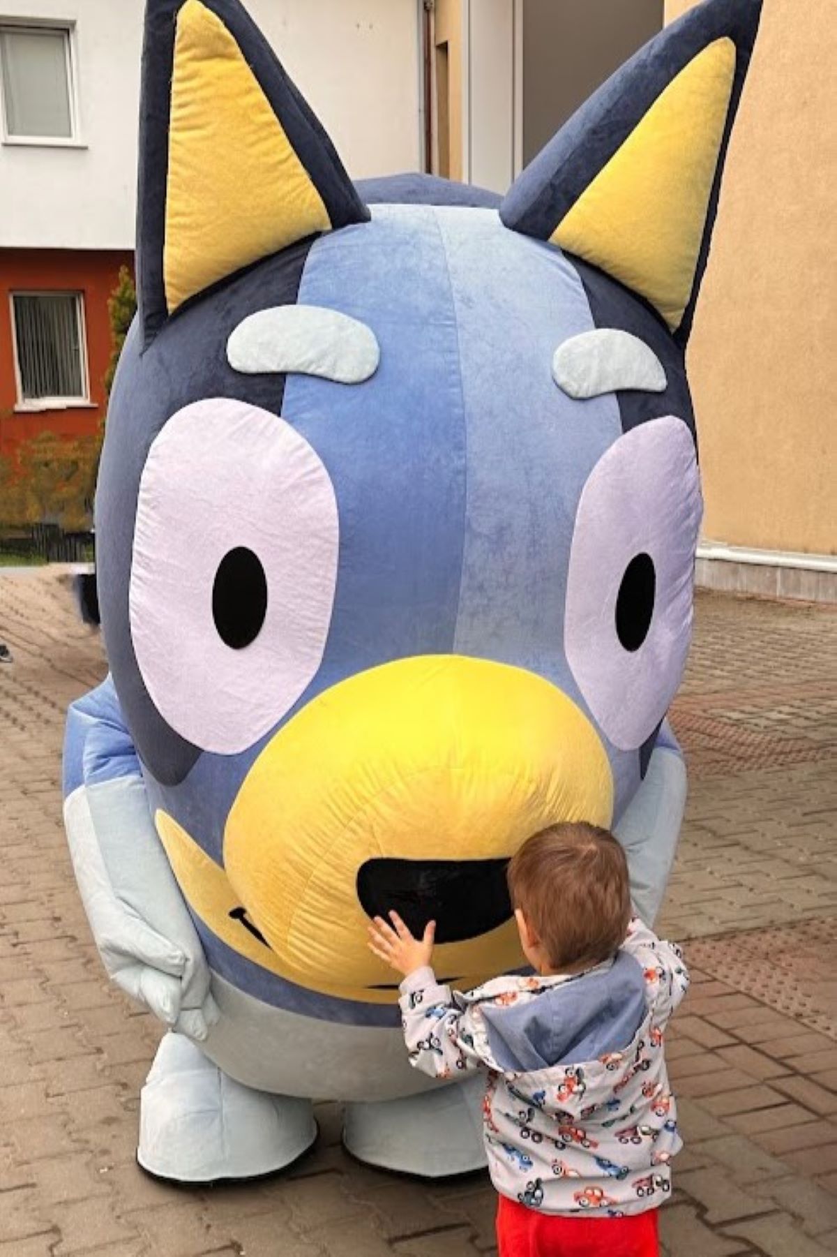 Блуи парти