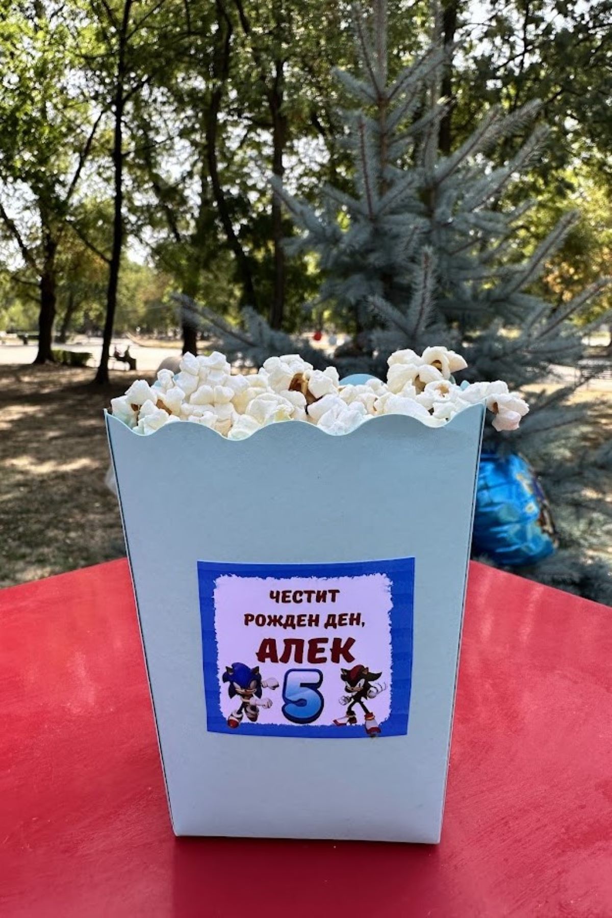 Парти Соник